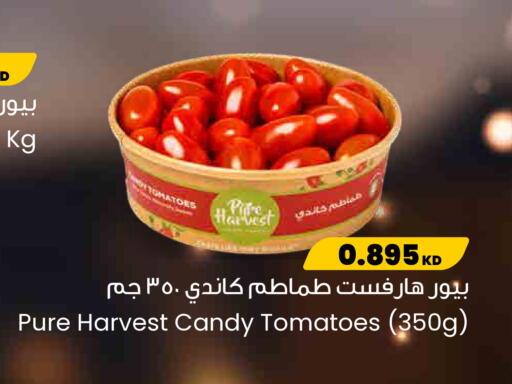 Tomato available at مركز سلطان in الكويت - محافظة الجهراء