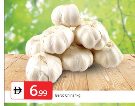 Garlic from China available at TALAL MARKET in UAE - Sharjah / Ajman