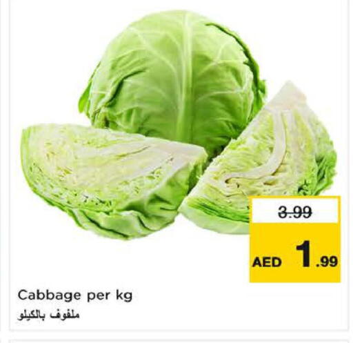 Cabbage available at لاست تشانس in الإمارات العربية المتحدة , الامارات - ٱلْفُجَيْرَة‎