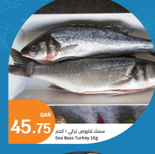 available at سيتي هايبرماركت in قطر - الريان