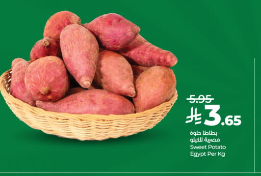 Sweet Potato from Egypt available at LULU Hypermarket in KSA, Saudi Arabia, Saudi - Khamis Mushait