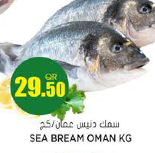 available at جراند هايبرماركت in قطر - الريان