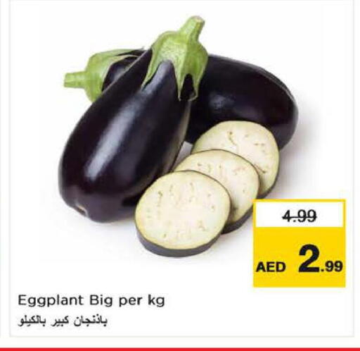 Eggplant available at لاست تشانس in الإمارات العربية المتحدة , الامارات - ٱلْفُجَيْرَة‎