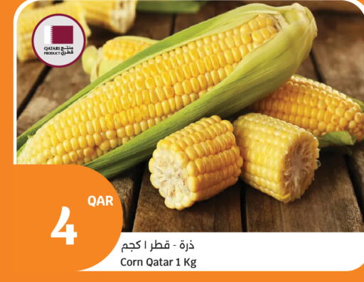 from Qatar available at سيتي هايبرماركت in قطر - الخور