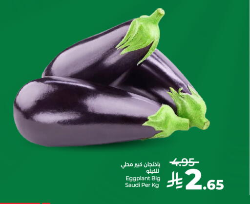 Eggplant from Saudi Arabia available at LULU Hypermarket in KSA, Saudi Arabia, Saudi - Mecca
