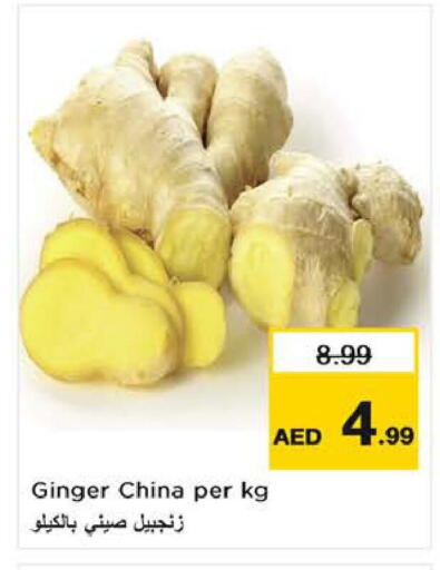 Ginger available at لاست تشانس in الإمارات العربية المتحدة , الامارات - ٱلْفُجَيْرَة‎