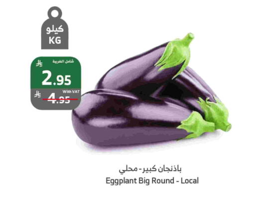 Eggplant available at الراية in مملكة العربية السعودية, السعودية, سعودية - القنفذة