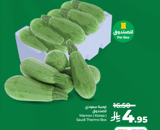 Marrow from Saudi Arabia available at LULU Hypermarket in KSA, Saudi Arabia, Saudi - Khamis Mushait