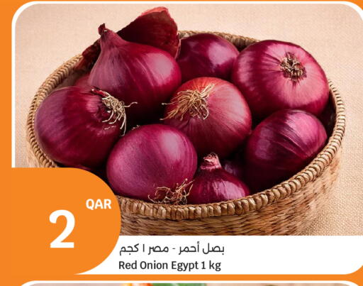 Onion from Egypt available at سيتي هايبرماركت in قطر - الوكرة