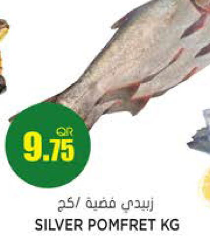 available at جراند هايبرماركت in قطر - الريان