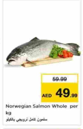 available at نستو هايبرماركت in الإمارات العربية المتحدة , الامارات - أبو ظبي