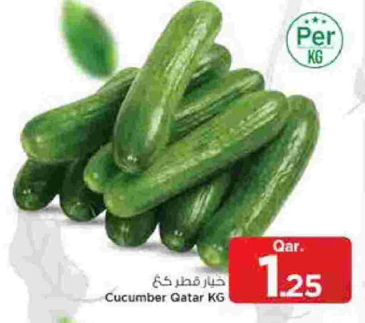 Cucumber from Qatar available at Mark & Save  in Qatar - Al Rayyan