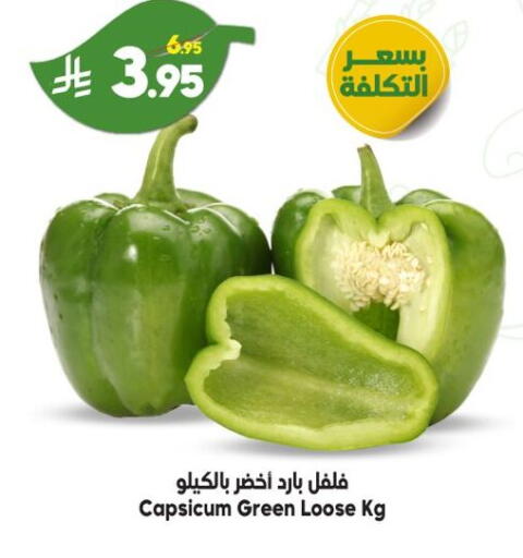 Capsicum available at الدكان in مملكة العربية السعودية, السعودية, سعودية - جدة