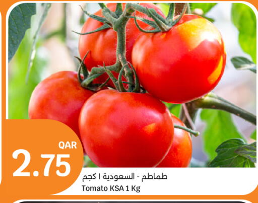 Tomato available at سيتي هايبرماركت in قطر - الريان