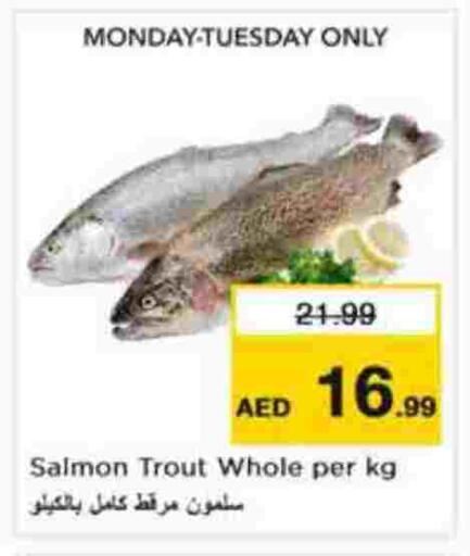 available at نستو هايبرماركت in الإمارات العربية المتحدة , الامارات - أبو ظبي