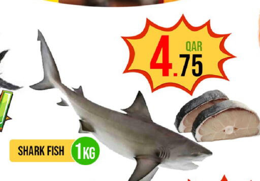 available at باشن هايبر ماركت in قطر - الدوحة