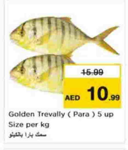 available at نستو هايبرماركت in الإمارات العربية المتحدة , الامارات - أبو ظبي