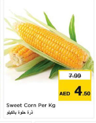 available at لاست تشانس in الإمارات العربية المتحدة , الامارات - ٱلْفُجَيْرَة‎