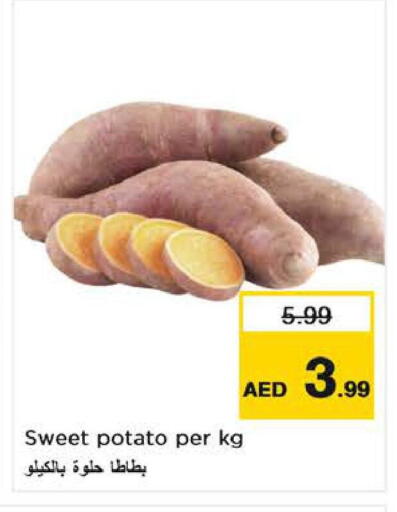 Sweet Potato available at لاست تشانس in الإمارات العربية المتحدة , الامارات - ٱلْفُجَيْرَة‎