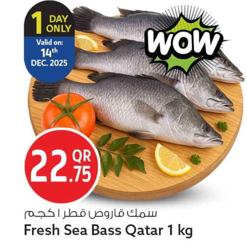 available at سفاري هايبر ماركت in قطر - الريان