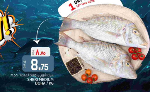 available at السعودية in قطر - الريان