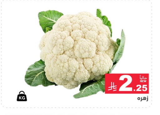 available at أسواق رامز in مملكة العربية السعودية, السعودية, سعودية - الرياض