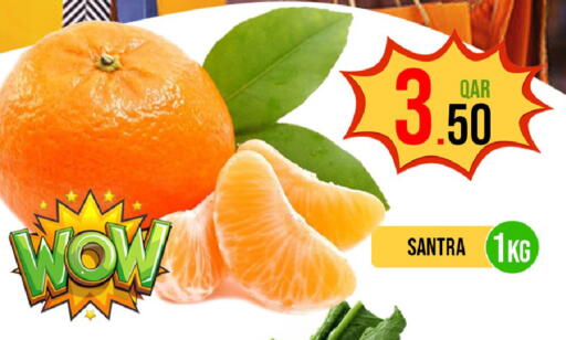 available at باشن هايبر ماركت in قطر - الوكرة