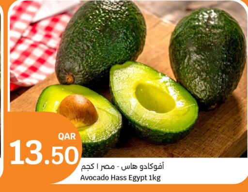 Avocado from Egypt available at سيتي هايبرماركت in قطر - الوكرة