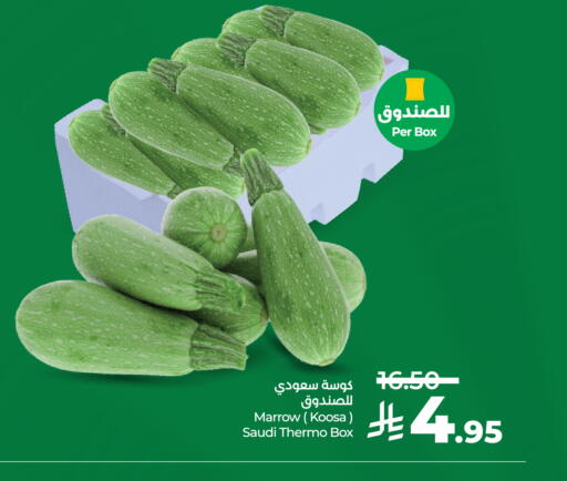 Marrow from Saudi Arabia available at LULU Hypermarket in KSA, Saudi Arabia, Saudi - Khamis Mushait