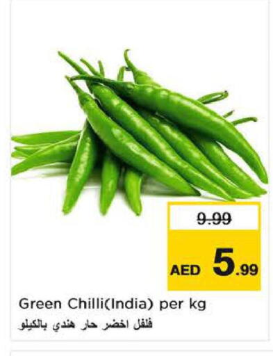 Green chilli from India available at لاست تشانس in الإمارات العربية المتحدة , الامارات - ٱلْفُجَيْرَة‎