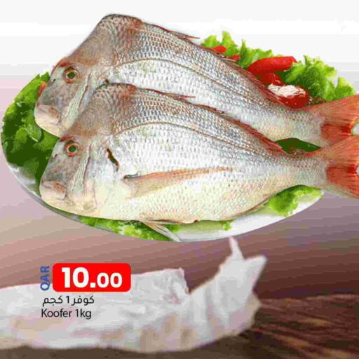 available at Dana Market in Qatar - Al Wakra