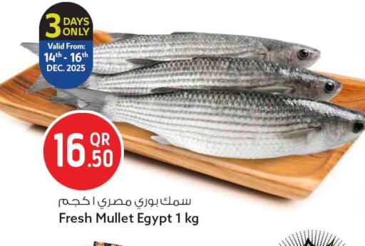 available at سفاري هايبر ماركت in قطر - الريان