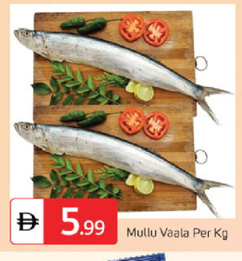 available at سوق طلال in الإمارات العربية المتحدة , الامارات - ٱلْفُجَيْرَة‎