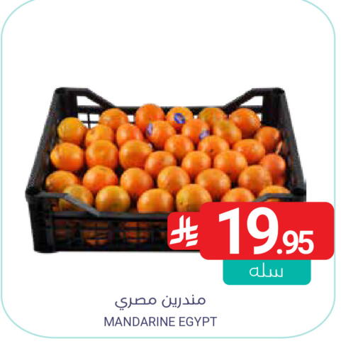 from Egypt available at اسواق المنتزه in مملكة العربية السعودية, السعودية, سعودية - سيهات