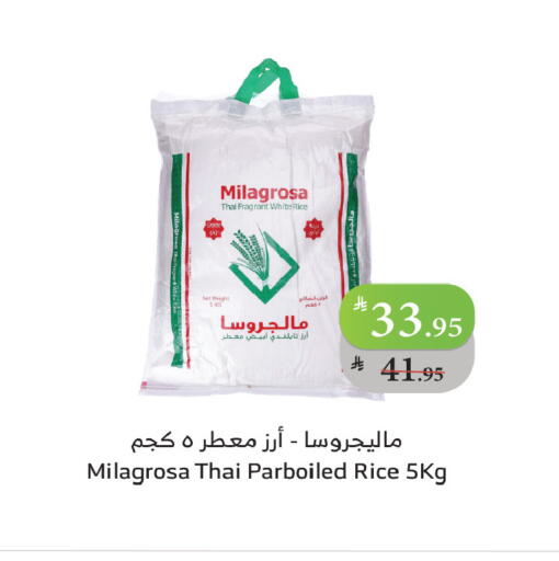 available at Al Raya in KSA, Saudi Arabia, Saudi - Najran