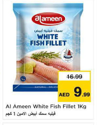 available at نستو هايبرماركت in الإمارات العربية المتحدة , الامارات - ٱلْفُجَيْرَة‎