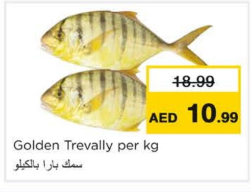 available at نستو هايبرماركت in الإمارات العربية المتحدة , الامارات - رَأْس ٱلْخَيْمَة