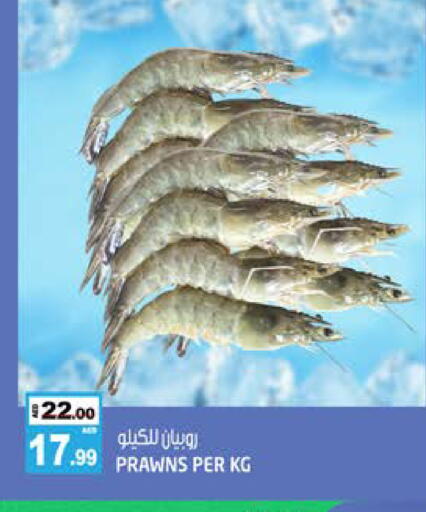 available at هاشم هايبرماركت in الإمارات العربية المتحدة , الامارات - الشارقة / عجمان