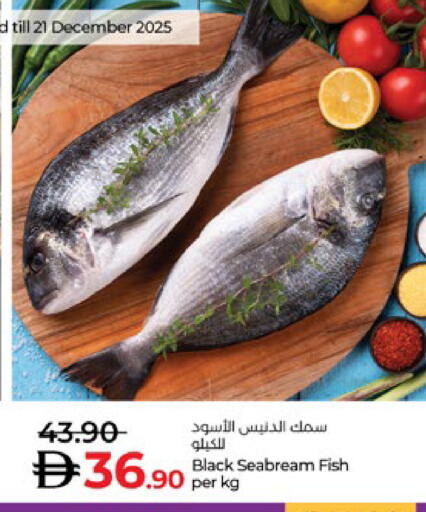 available at Lulu Hypermarket in UAE - Abu Dhabi