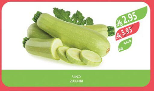 Zucchini available at المزرعة in مملكة العربية السعودية, السعودية, سعودية - القطيف‎