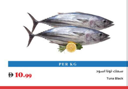 available at تروليز سوبرماركت in الإمارات العربية المتحدة , الامارات - الشارقة / عجمان