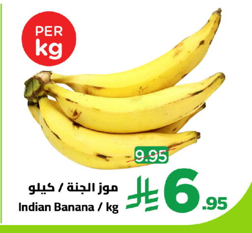 Banana from India available at وهج مارت in مملكة العربية السعودية, السعودية, سعودية - جدة