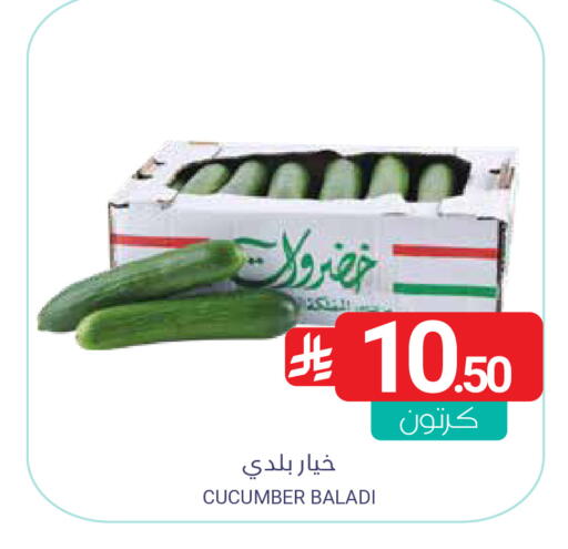 Cucumber available at اسواق المنتزه in مملكة العربية السعودية, السعودية, سعودية - المنطقة الشرقية
