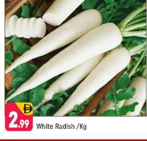 Radish available at Shaklan  in UAE - Dubai