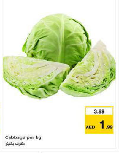 Cabbage available at نستو هايبرماركت in الإمارات العربية المتحدة , الامارات - ٱلْفُجَيْرَة‎