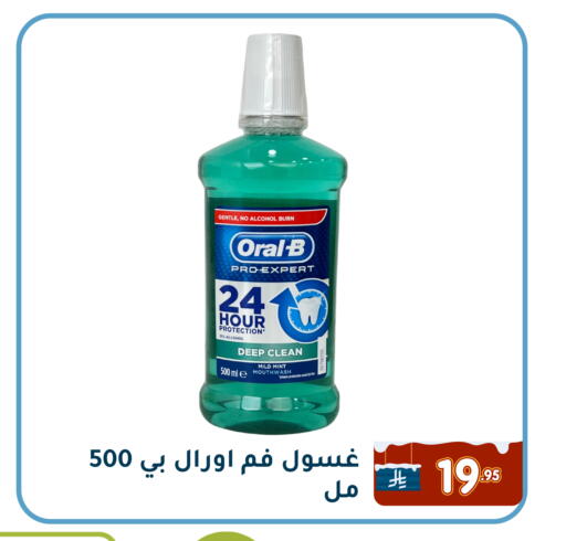 Mint available at Family Discount in KSA, Saudi Arabia, Saudi - Dammam