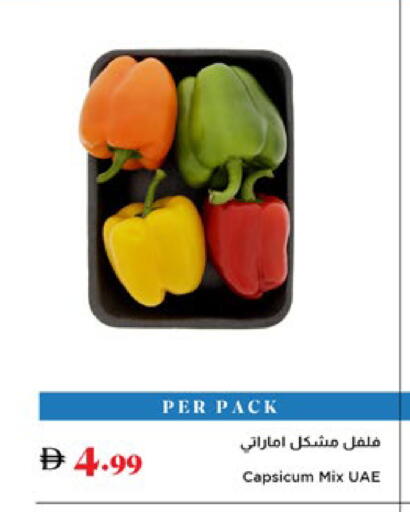 Capsicum available at Trolleys Supermarket in UAE - Dubai