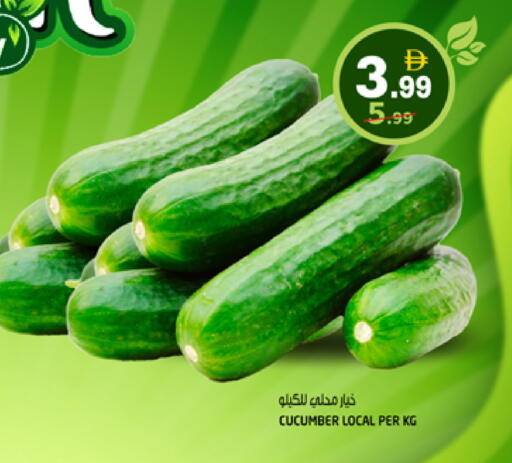 Cucumber available at هاشم هايبرماركت in الإمارات العربية المتحدة , الامارات - الشارقة / عجمان