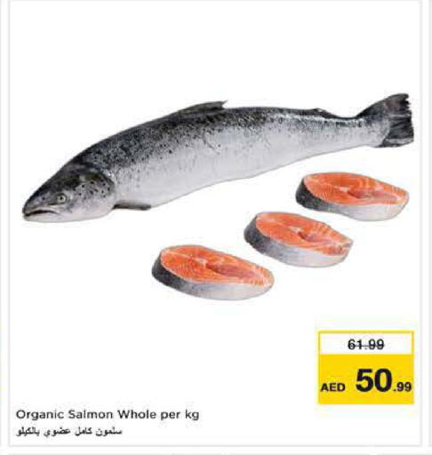 available at نستو هايبرماركت in الإمارات العربية المتحدة , الامارات - ٱلْفُجَيْرَة‎