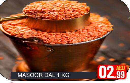 Mango available at مانجو هايبرماركت in الإمارات العربية المتحدة , الامارات - دبي